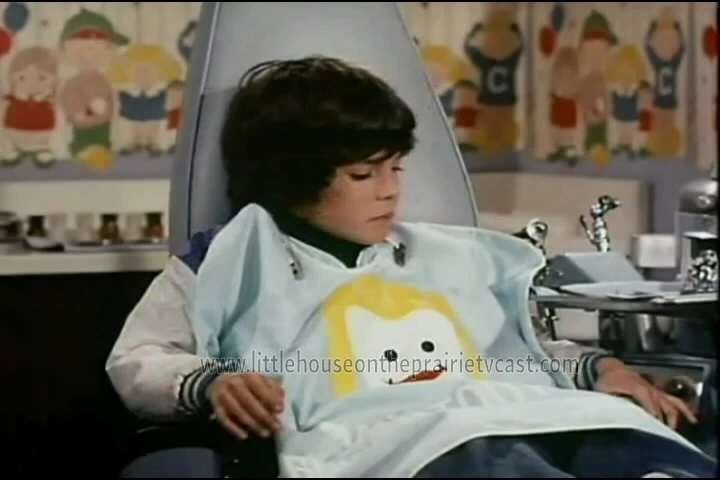 Mathew Labyorteaux in The Bob Newhart Show